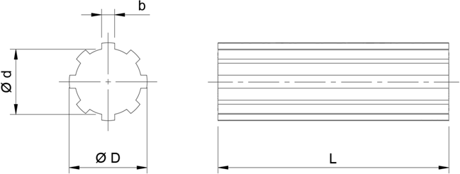 Stainless Steel Splined Shafts SASX Diagram