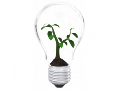 Environmentally Friendly Goods