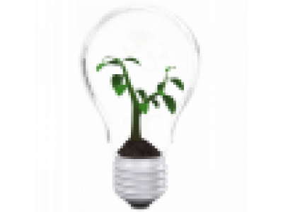 Latest flyer uses vegetable inks