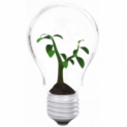 2016 Green Cars for ABSSAC