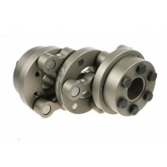 Schmidt Couplings