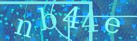 Visual Confirmation Code
