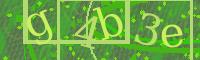 Visual Confirmation Code